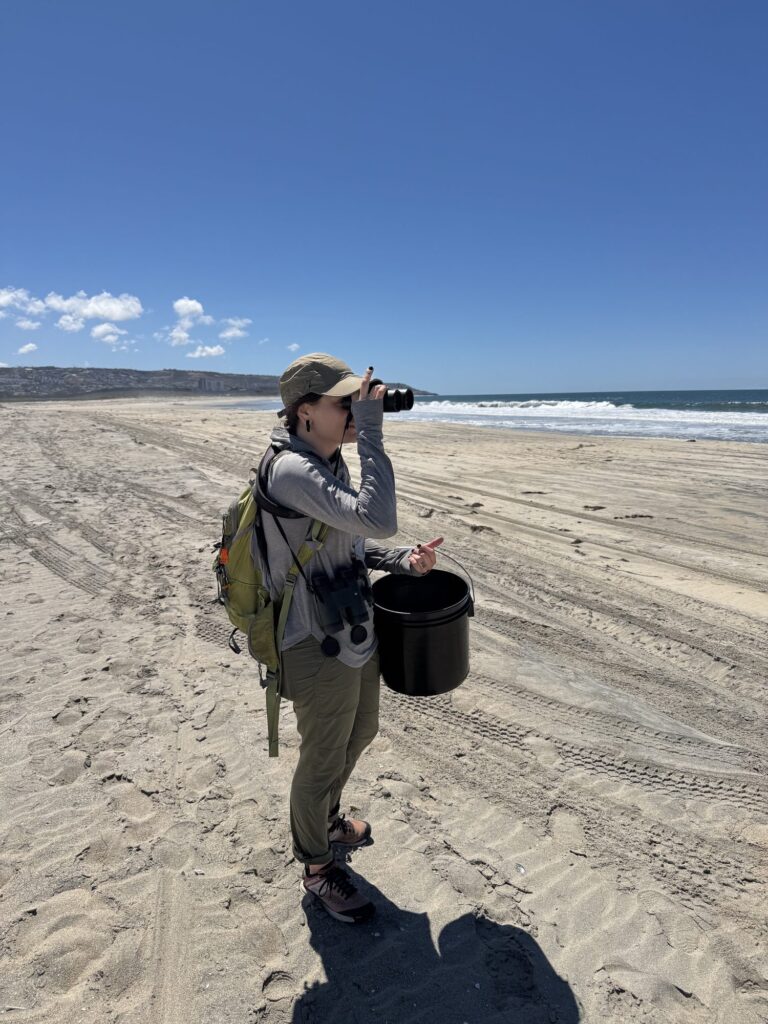 Coastal bird survey and monitoring — Black Tech Link BIPOC Coastal Research Program (BCRP)