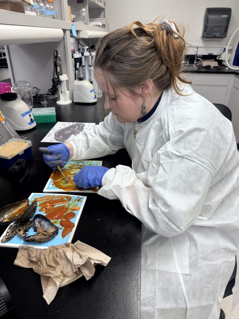 Student examining a marine specimen in a lab coat — Black Tech Link BIPOC Coastal Research Program (BCRP)