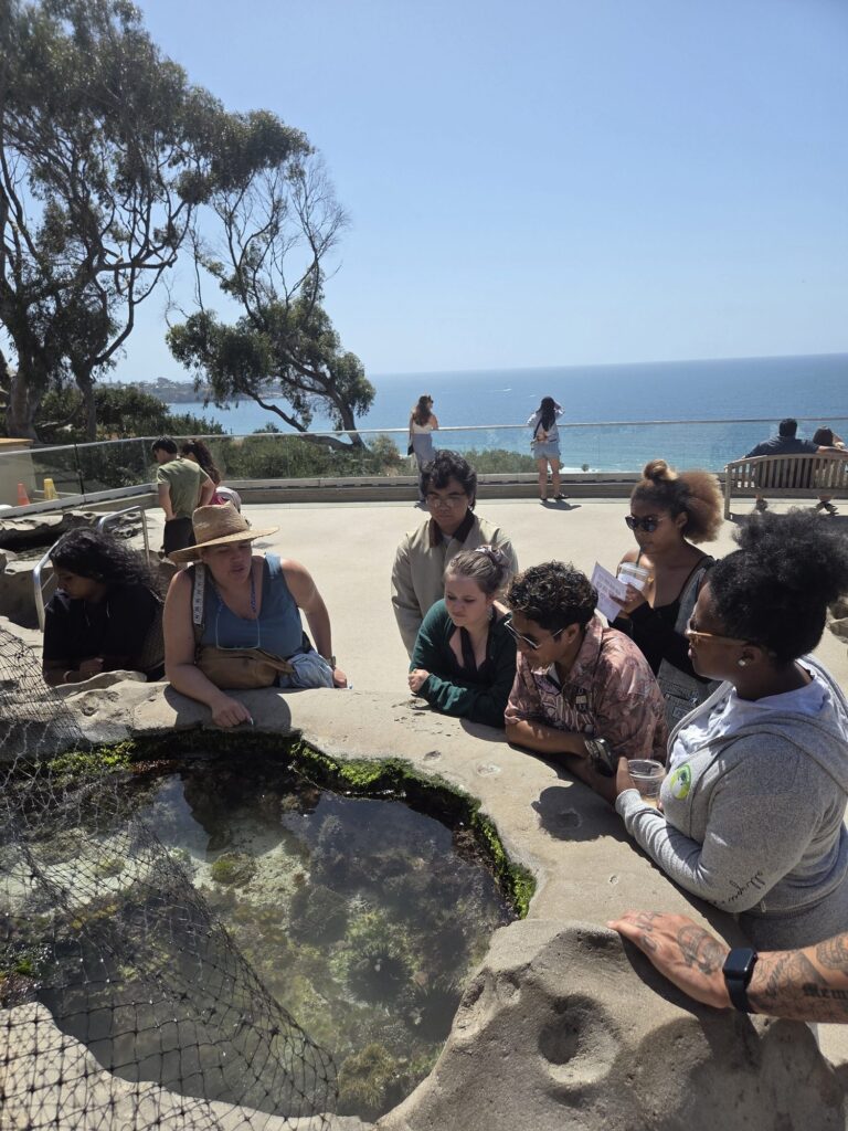 Students exploring coastal habitats at the Scripps Coastal Reserve in La Jolla — Black Tech Link BIPOC Coastal Research Program (BCRP)