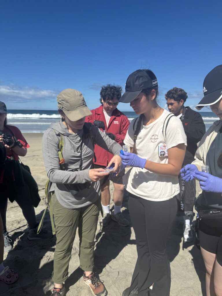 Students sampling water on the beach — Black Tech Link BIPOC Coastal Research Program (BCRP)