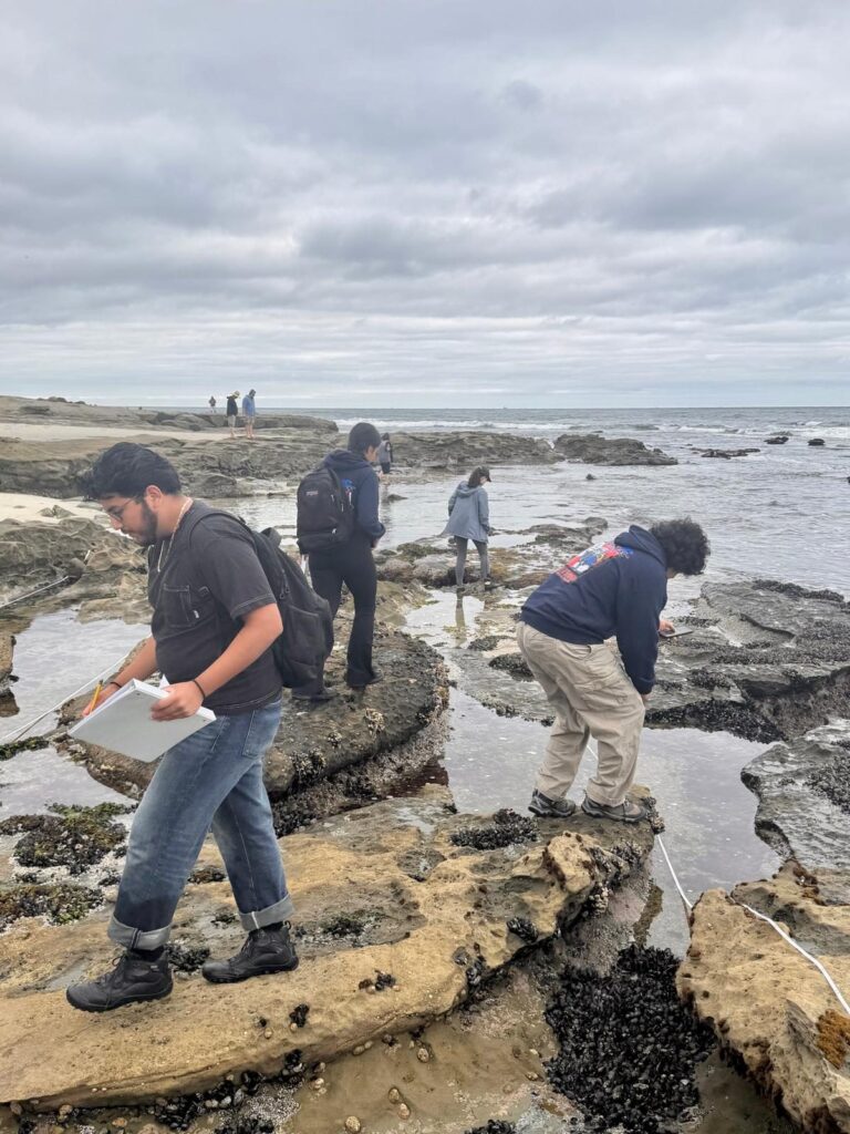 Students on a rocky tidepool coast — Black Tech Link BIPOC Coastal Research Program (BCRP)