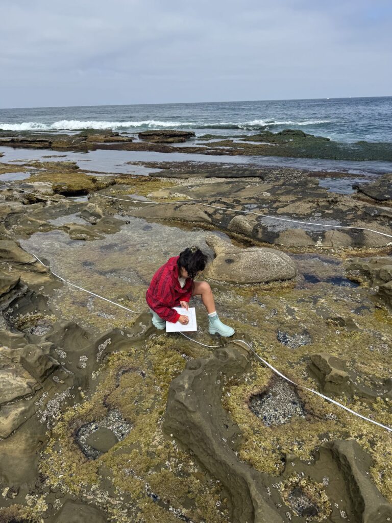 Student running a tidepool transect survey — Black Tech Link BIPOC Coastal Research Program (BCRP)