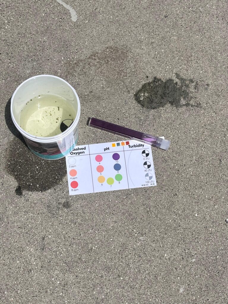 Water-quality color chart and sample bucket on the sand — Black Tech Link BIPOC Coastal Research Program (BCRP)